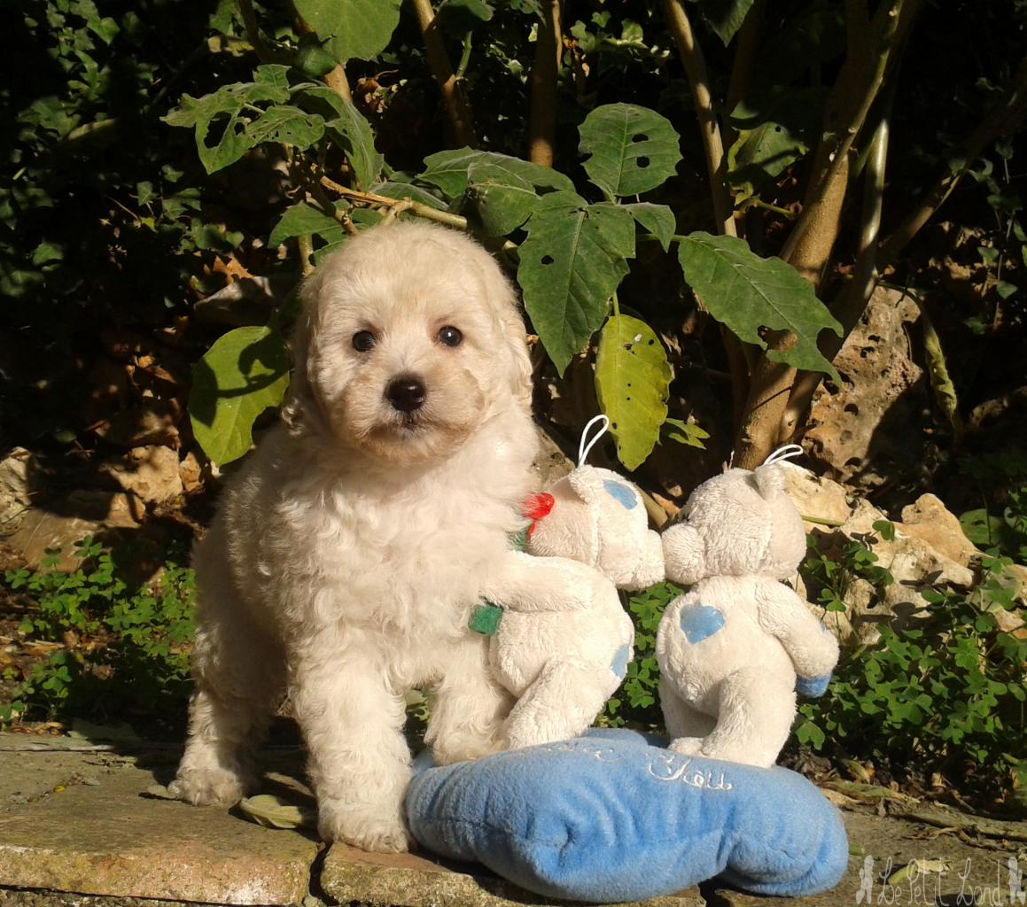 Igor - le 16.11.13