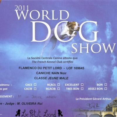 Flamenco - Diplôme Meilleur Jeune World Dog Show le 10.07.11