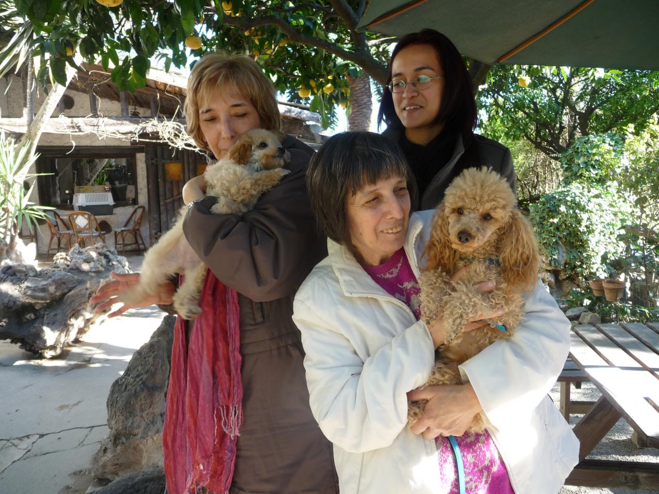 Feeling & Gloria (famille Belgrano)