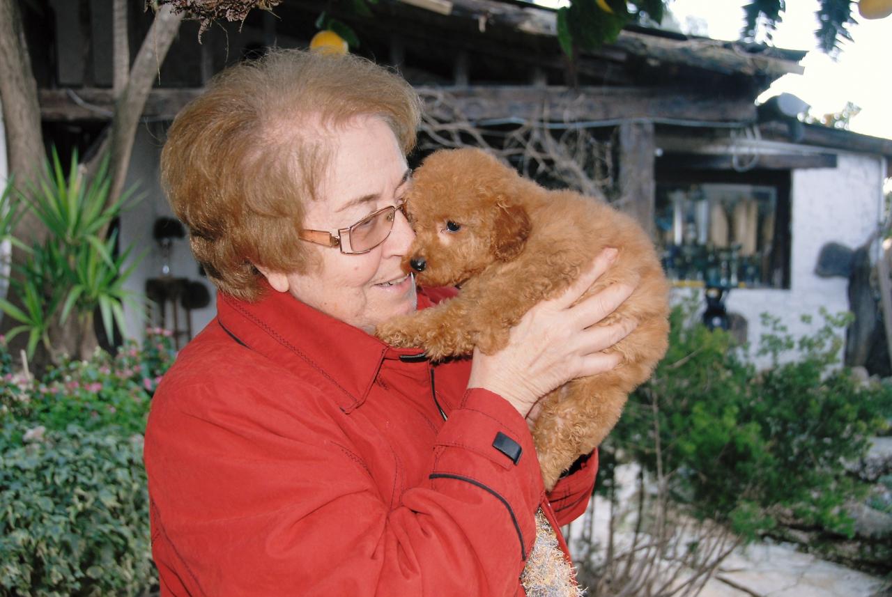Fibie (famille Viennet)