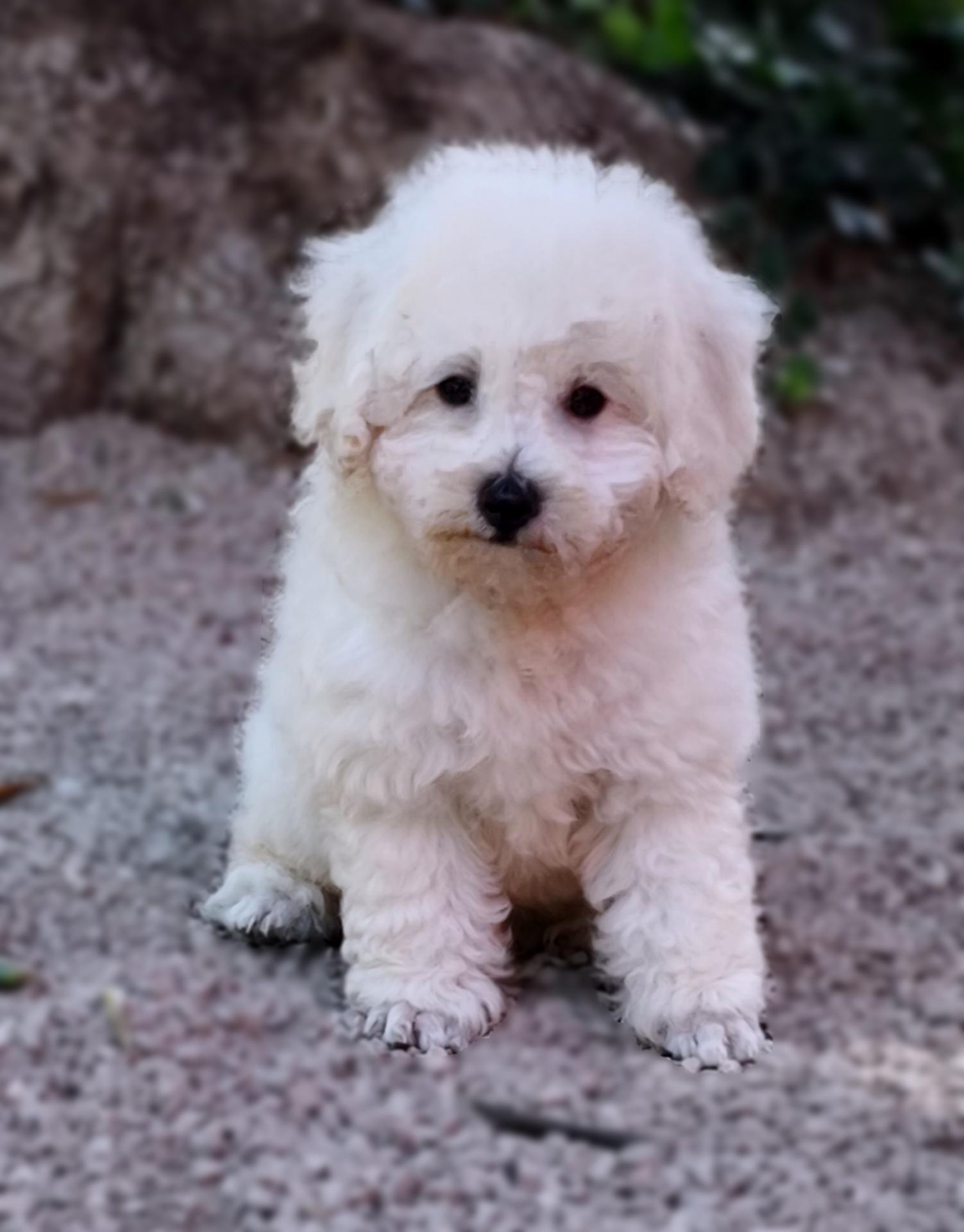 Odin - le 31.07.2018