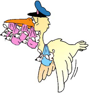 Storkwithpuppies