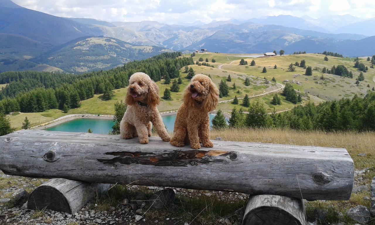 Indiana Jones & June (famille Richard)