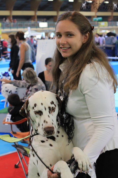 Chywen - Exposition Orléans Nationale d'élevage dalmatien 2010