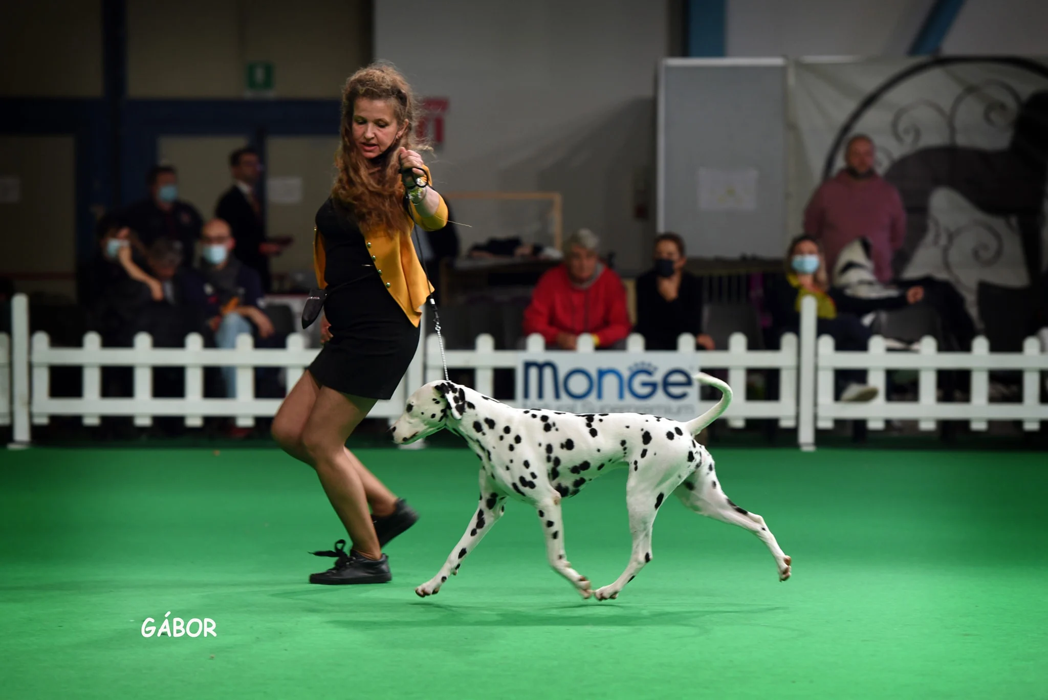 Romanee - le 01.11.21