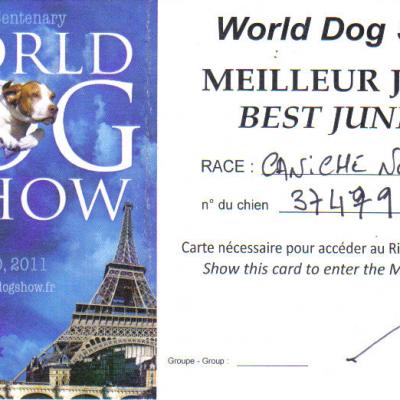 Flamenco - Carton Meilleur Jeune World Dog Show le 10.07.11