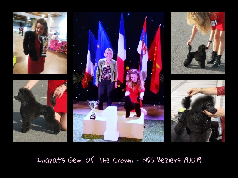 Inapat's Gem Of The Crown - Cassie 