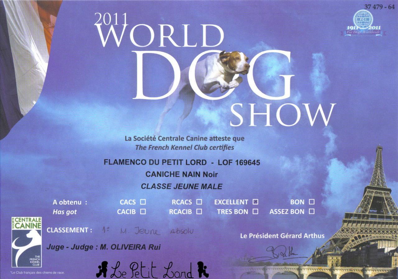 Flamenco - Diplôme Meilleur Jeune World Dog Show le 10.07.11
