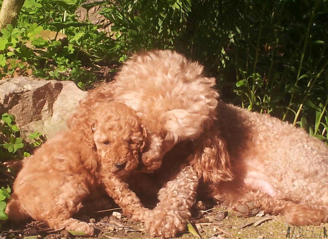 Dune et sa fille - le 23.04.13