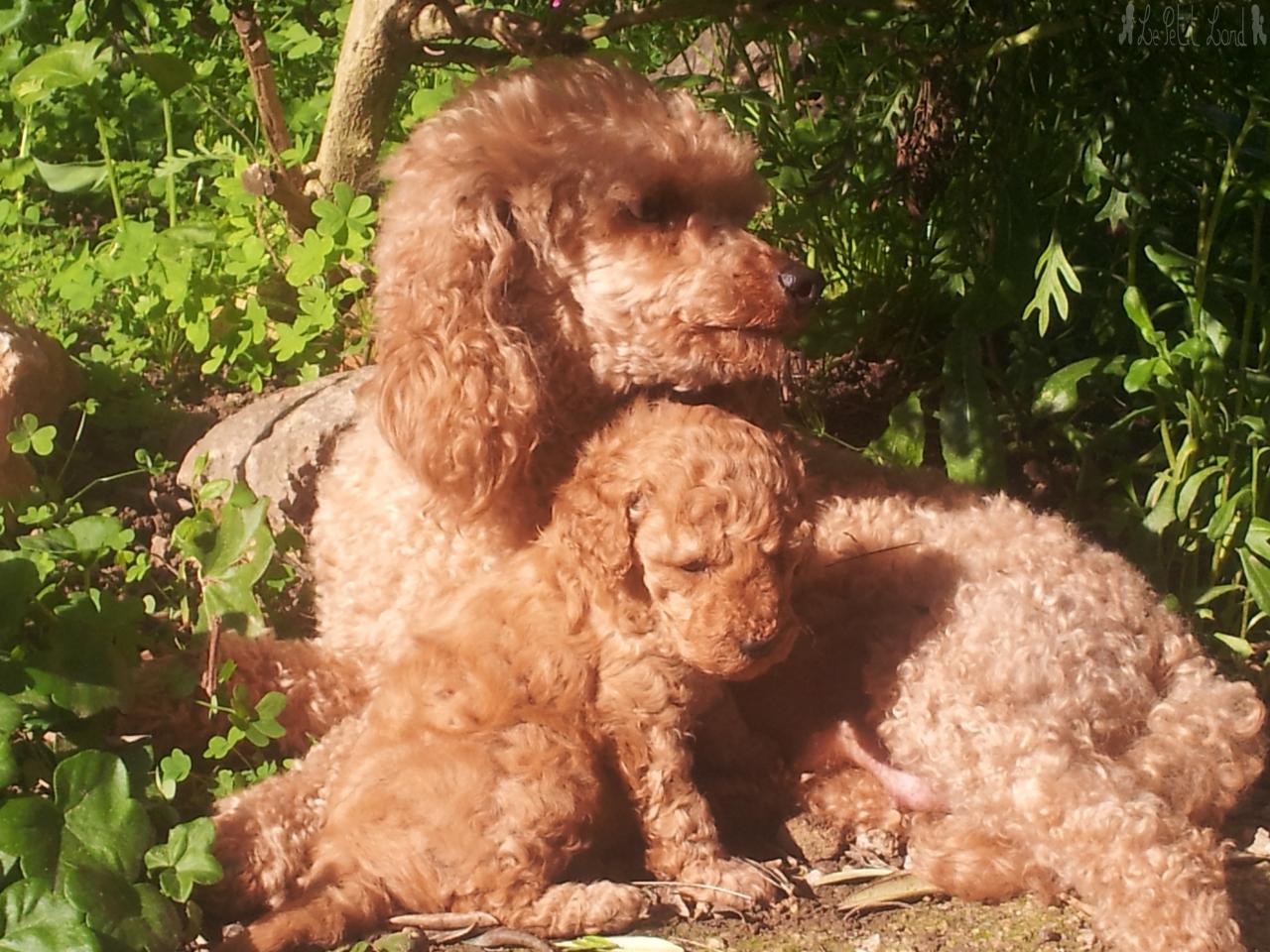 Dune et sa fille - le 23.04.13