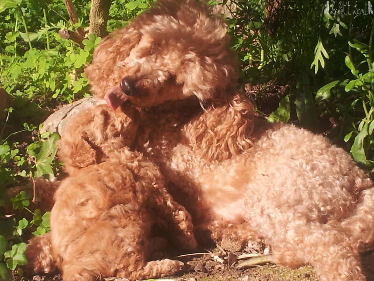 Dune et sa fille - le 23.04.13