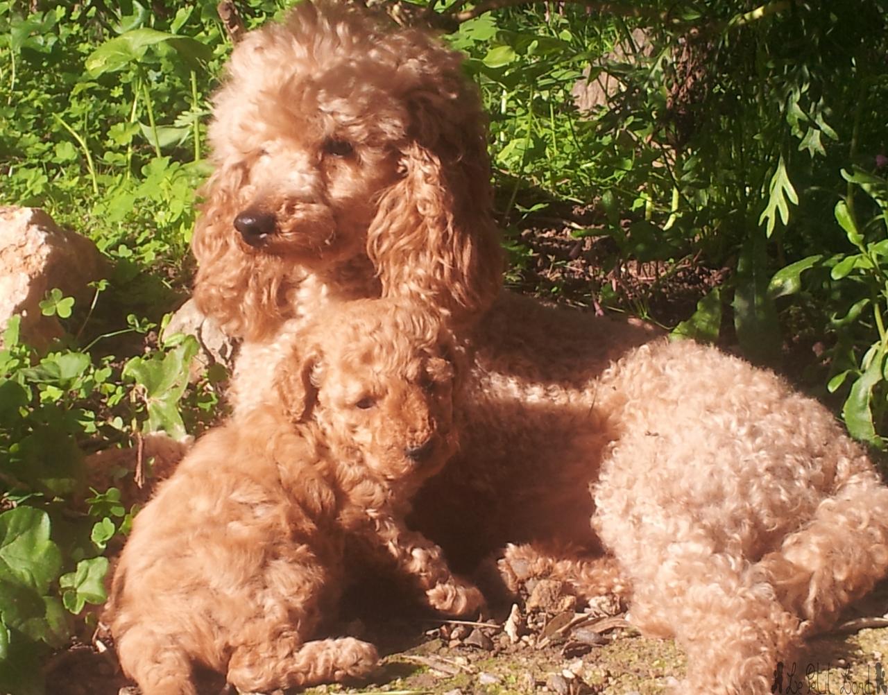 Dune et sa fille - le 23.04.13