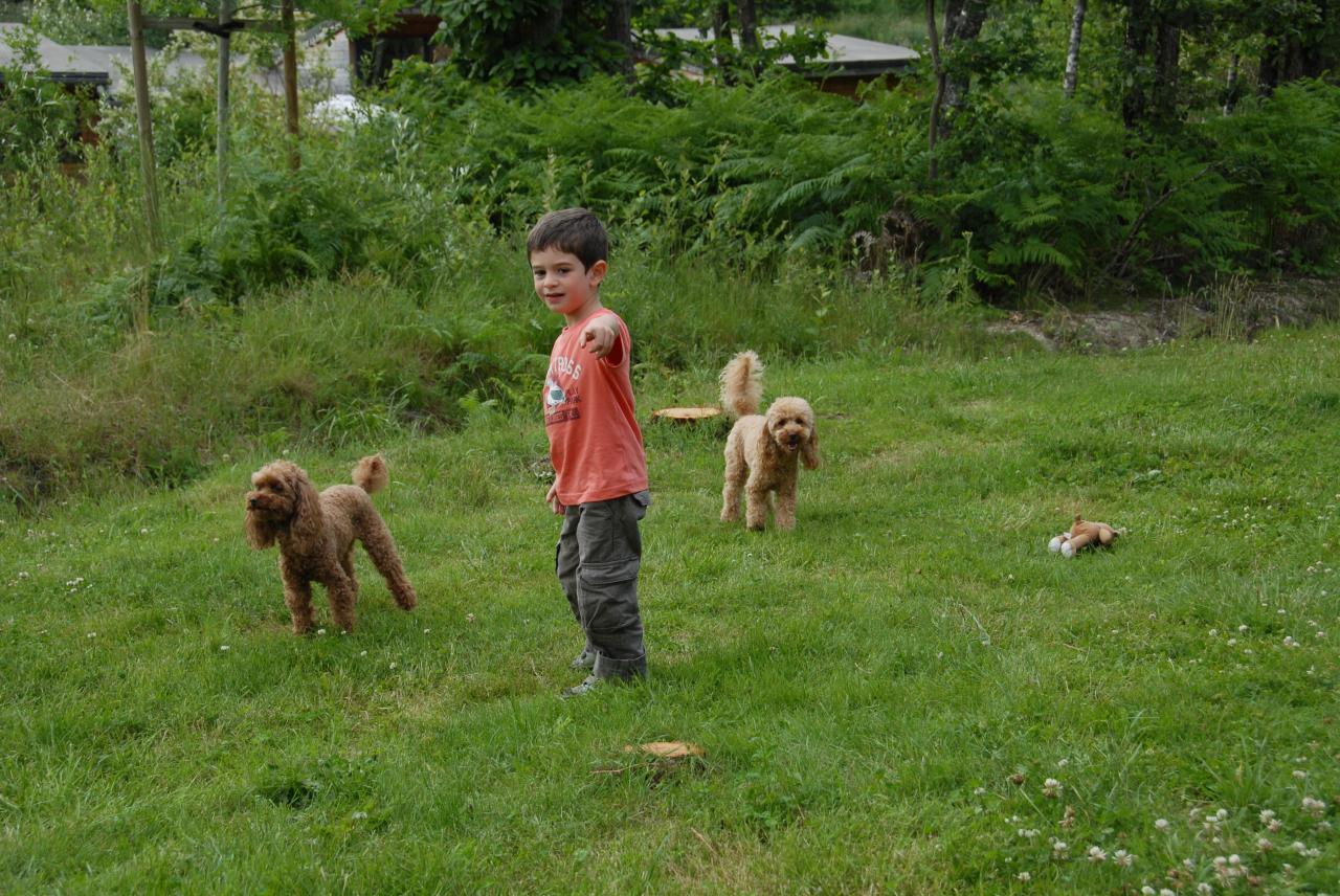 Vickie et Fibie (Famille Vienet)