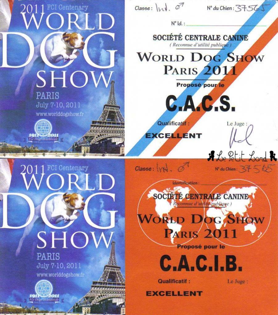 Shadow - Cartons Mondiale CACS + CACIB le 10.07.11