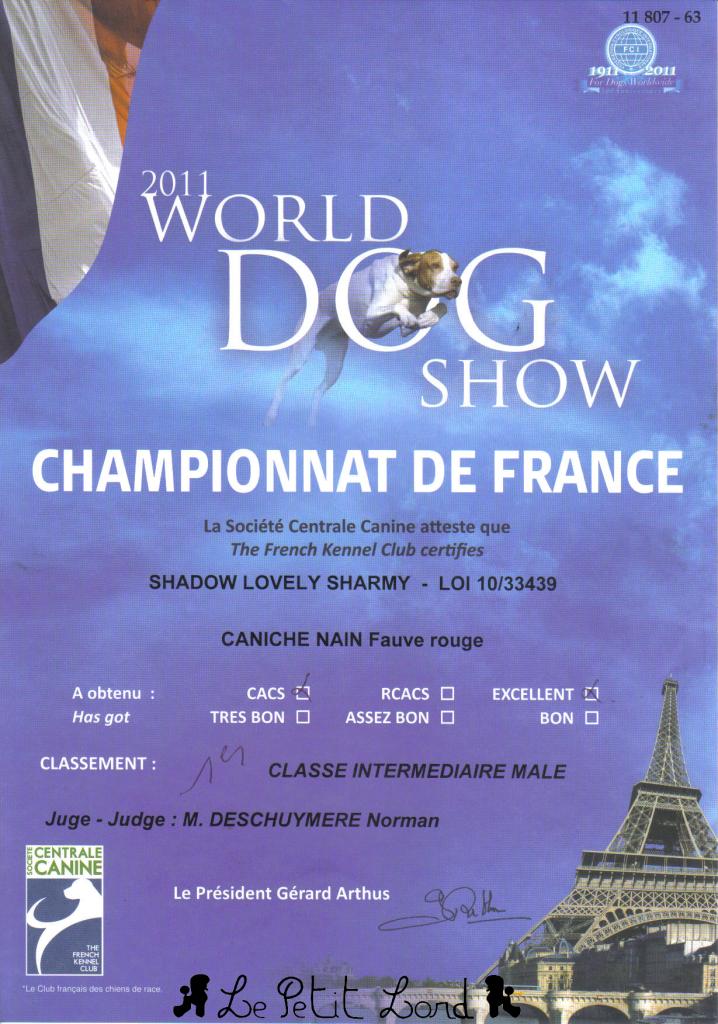 Shadow - Diplôme Champion de France le 10.07.11